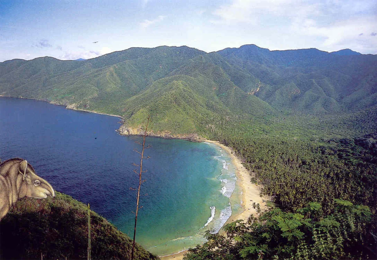 Venezuela – Estado de Aragua – Choroní