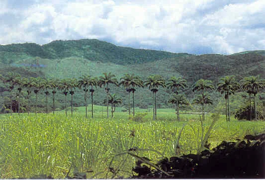 Venezuela – Estado de Aragua – La Victoria