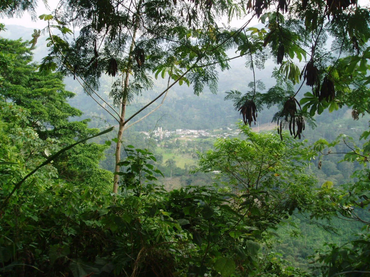 Venezuela – Estado de Mérida – Tucaní