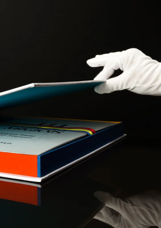 Mis Libros 2 Mis Libros Pueblos Magicos 2